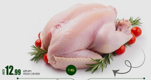  Fresh Chicken  in  روابي ماركت عجمان in الإمارات العربية المتحدة , الامارات - الشارقة / عجمان