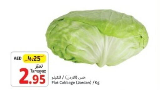  Cabbage  in تعاونية الاتحاد in الإمارات العربية المتحدة , الامارات - أبو ظبي