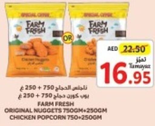 FARM FRESH Chicken Nuggets  in Union Coop in UAE - Sharjah / Ajman