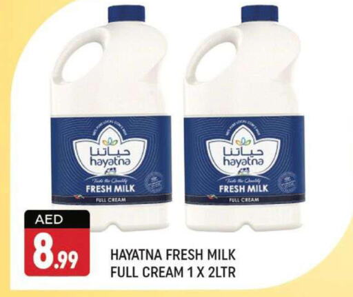 HAYATNA Full Cream Milk  in شكلان ماركت in الإمارات العربية المتحدة , الامارات - دبي