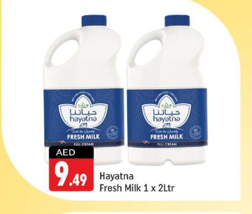 HAYATNA Full Cream Milk  in Shaklan  in UAE - Dubai