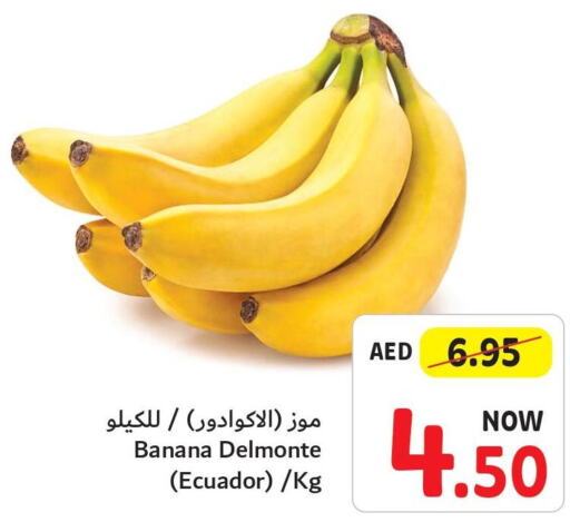  Banana  in Umm Al Quwain Coop in UAE - Umm al Quwain