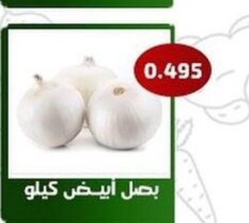  Onion  in جمعية فحيحيل التعاونية in الكويت - مدينة الكويت