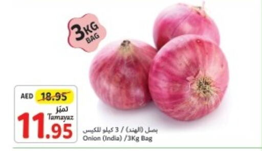  Onion  in تعاونية الاتحاد in الإمارات العربية المتحدة , الامارات - أبو ظبي