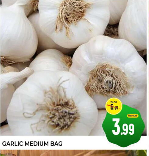  Garlic  in المدينة in الإمارات العربية المتحدة , الامارات - الشارقة / عجمان