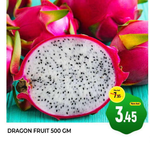  Dragon fruits  in المدينة in الإمارات العربية المتحدة , الامارات - الشارقة / عجمان