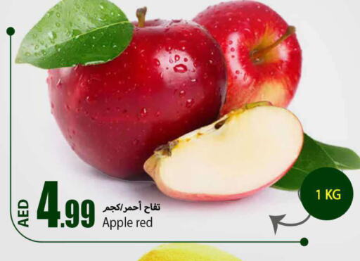  Apples  in  روابي ماركت عجمان in الإمارات العربية المتحدة , الامارات - الشارقة / عجمان