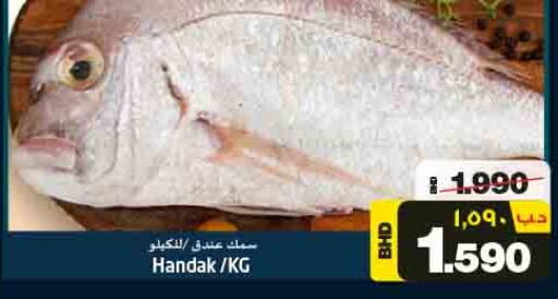  King Fish  in NESTO  in Bahrain