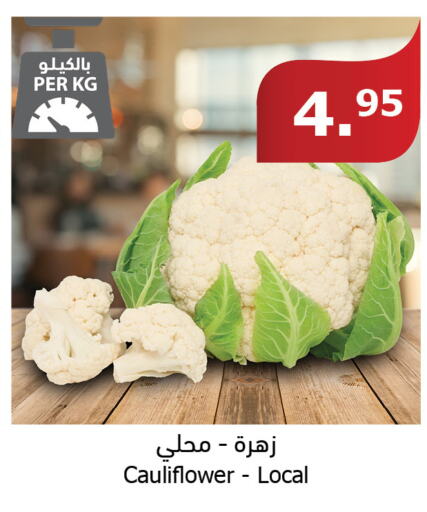  Cauliflower  in Al Raya in KSA, Saudi Arabia, Saudi - Al Bahah