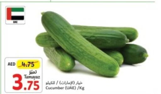  Cucumber  in تعاونية الاتحاد in الإمارات العربية المتحدة , الامارات - أبو ظبي