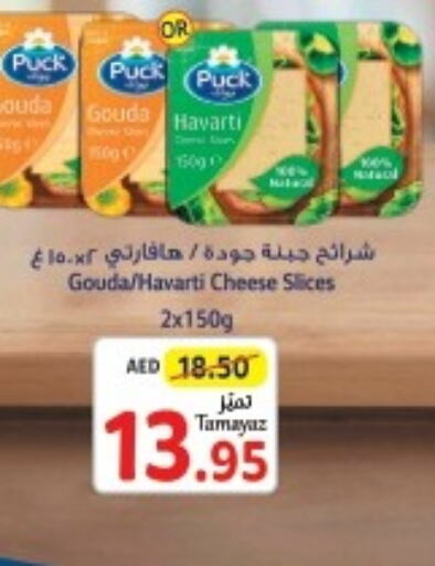 PUCK Slice Cheese  in تعاونية الاتحاد in الإمارات العربية المتحدة , الامارات - أبو ظبي