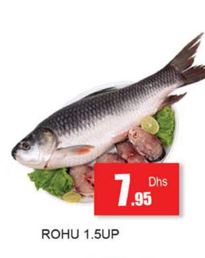  King Fish  in زين مارت سوبرماركت in الإمارات العربية المتحدة , الامارات - رَأْس ٱلْخَيْمَة
