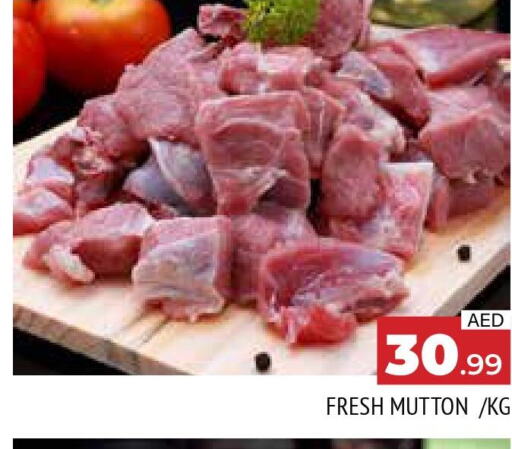  Mutton / Lamb  in AL MADINA in UAE - Sharjah / Ajman