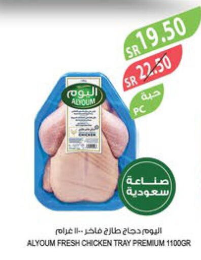 AL YOUM Fresh Chicken  in Farm  in KSA, Saudi Arabia, Saudi - Sakaka