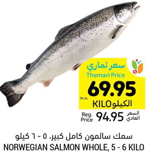  King Fish  in أسواق التميمي in مملكة العربية السعودية, السعودية, سعودية - عنيزة