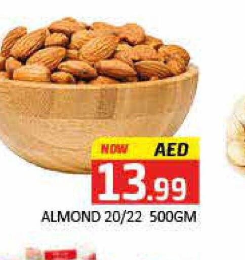  in Mango Hypermarket LLC in UAE - Dubai