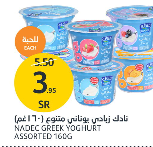 NADEC Greek Yoghurt  in AlJazera Shopping Center in KSA, Saudi Arabia, Saudi - Riyadh