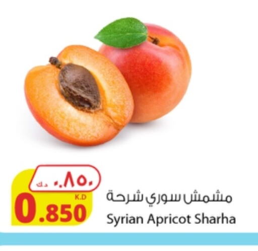  in شركة المنتجات الزراعية الغذائية in الكويت - محافظة الجهراء