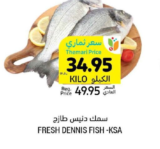  King Fish  in Tamimi Market in KSA, Saudi Arabia, Saudi - Jubail