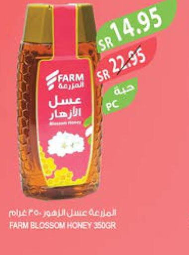  Honey  in Farm  in KSA, Saudi Arabia, Saudi - Al Bahah
