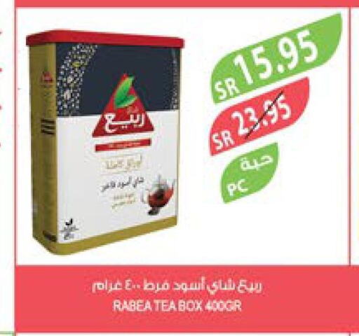 RABEA Tea Powder  in Farm  in KSA, Saudi Arabia, Saudi - Tabuk