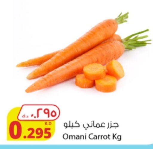  Carrot  in شركة المنتجات الزراعية الغذائية in الكويت - محافظة الأحمدي