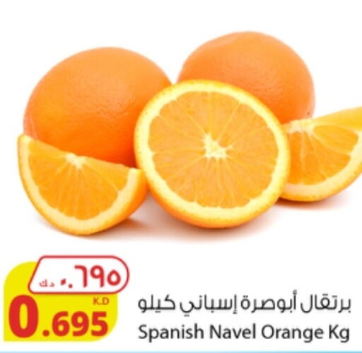  Orange  in شركة المنتجات الزراعية الغذائية in الكويت - محافظة الأحمدي