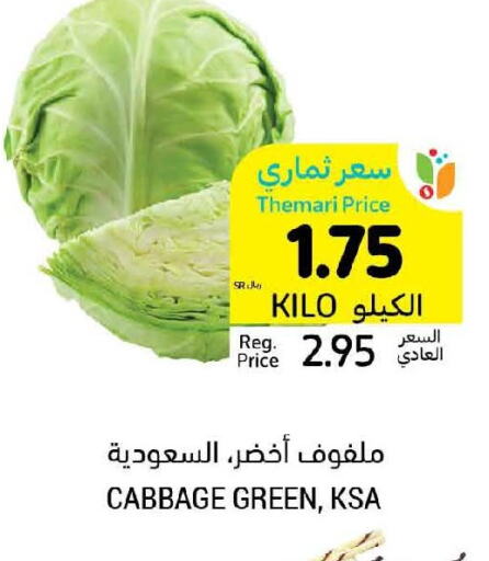  Cabbage  in أسواق التميمي in مملكة العربية السعودية, السعودية, سعودية - المنطقة الشرقية