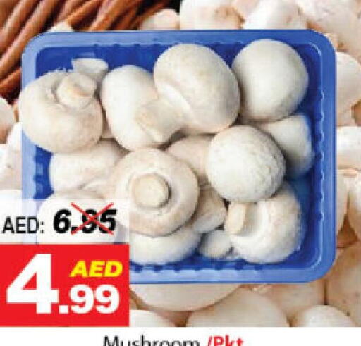  Mushroom  in ديزرت فريش ماركت in الإمارات العربية المتحدة , الامارات - أبو ظبي