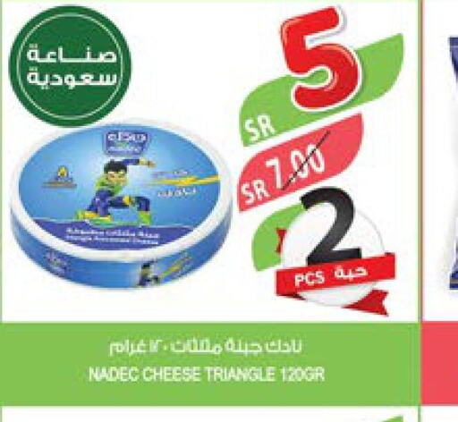 NADEC Triangle Cheese  in Farm  in KSA, Saudi Arabia, Saudi - Al Bahah