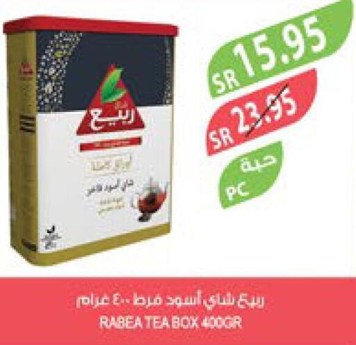 RABEA Tea Powder  in Farm  in KSA, Saudi Arabia, Saudi - Saihat