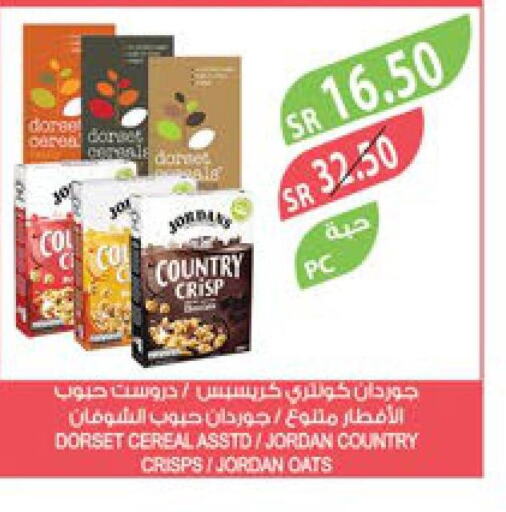  Cereals  in Farm  in KSA, Saudi Arabia, Saudi - Al Bahah
