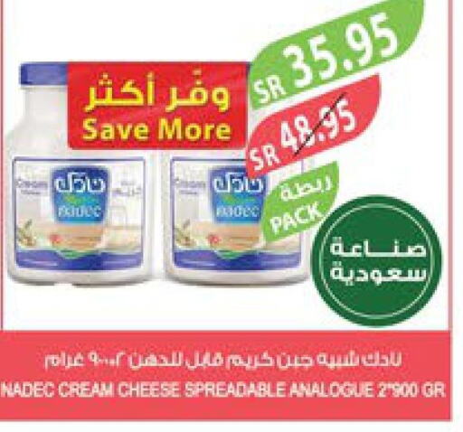 NADEC Analogue Cream  in Farm  in KSA, Saudi Arabia, Saudi - Khafji