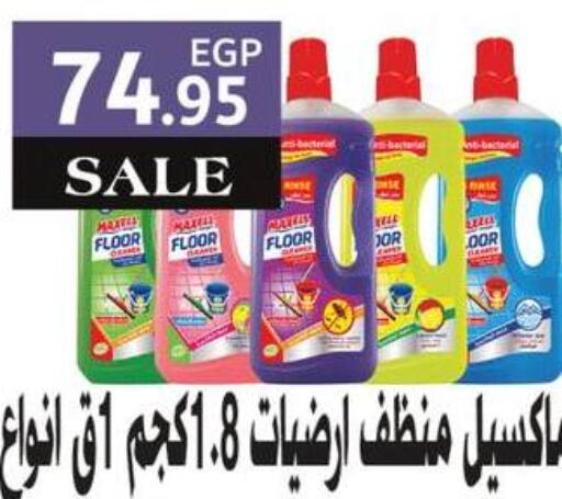  General Cleaner  in Royal House in Egypt - Cairo