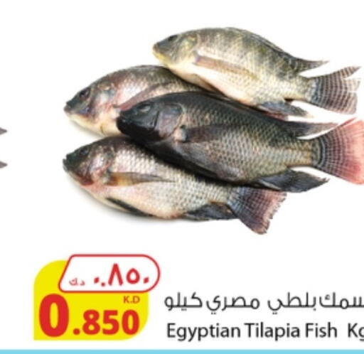 NADA   in شركة المنتجات الزراعية الغذائية in الكويت - محافظة الأحمدي