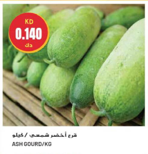  Gourd  in جراند هايبر in الكويت - مدينة الكويت