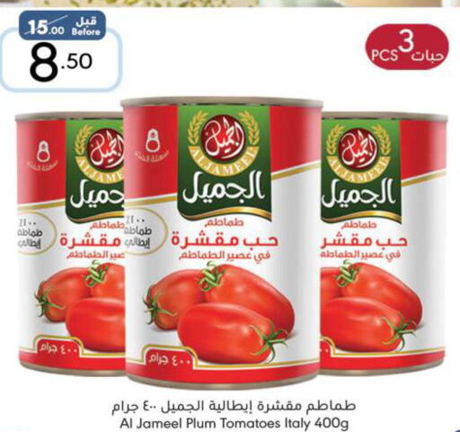 NADA Tomato Paste  in مانويل ماركت in مملكة العربية السعودية, السعودية, سعودية - الرياض
