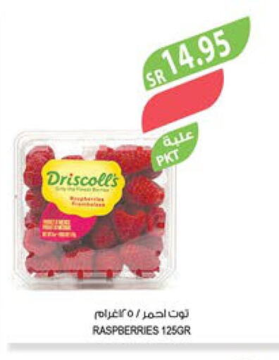  Berries  in Farm  in KSA, Saudi Arabia, Saudi - Al Bahah