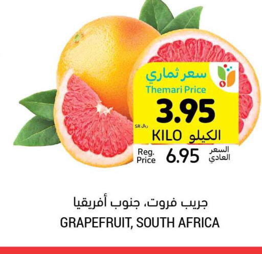 Mango Mango  in أسواق التميمي in مملكة العربية السعودية, السعودية, سعودية - بريدة