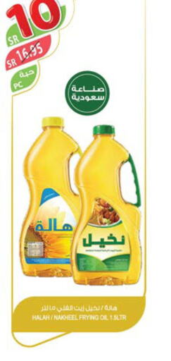 Alarabi Vegetable Oil  in Farm  in KSA, Saudi Arabia, Saudi - Jazan