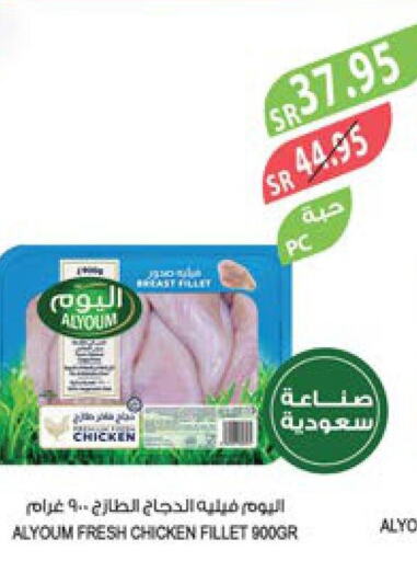 AL YOUM Chicken Fillet  in Farm  in KSA, Saudi Arabia, Saudi - Sakaka