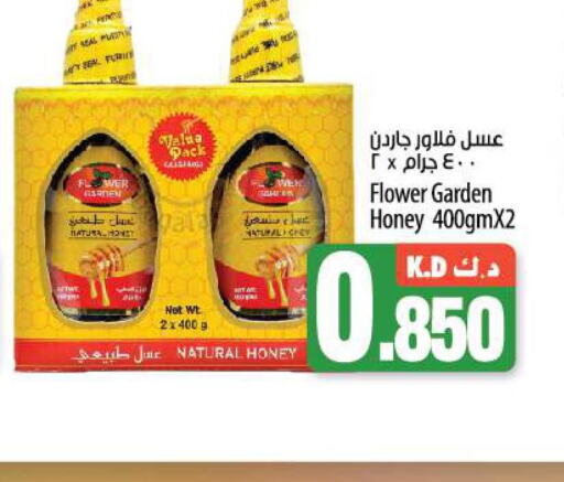  Honey  in مانجو هايبرماركت in الكويت - محافظة الأحمدي
