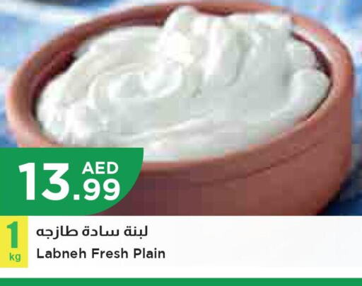  Labneh  in Istanbul Supermarket in UAE - Sharjah / Ajman