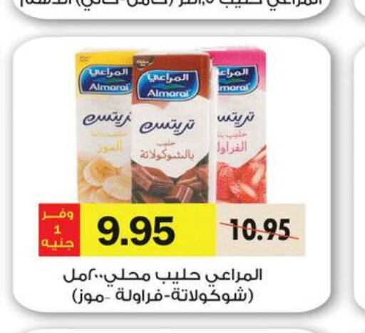 ALMARAI Flavoured Milk  in رويال هاوس in Egypt - القاهرة