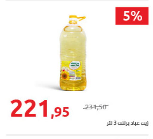  Corn Oil  in هايبر وان in Egypt - القاهرة