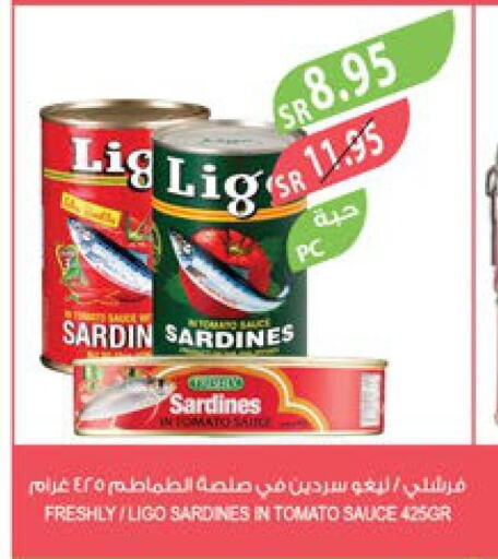  Sardines - Canned  in المزرعة in مملكة العربية السعودية, السعودية, سعودية - الباحة