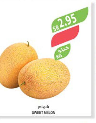  Sweet melon  in Farm  in KSA, Saudi Arabia, Saudi - Al Bahah