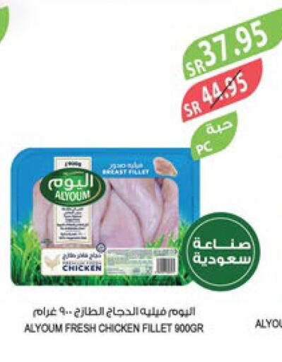 AL YOUM Chicken Fillet  in المزرعة in مملكة العربية السعودية, السعودية, سعودية - الباحة