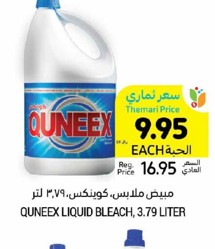 QUEENEX Bleach  in Tamimi Market in KSA, Saudi Arabia, Saudi - Medina