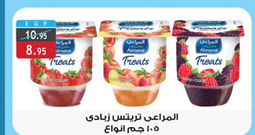 ALMARAI Yoghurt  in Al Rayah Market   in Egypt - Cairo